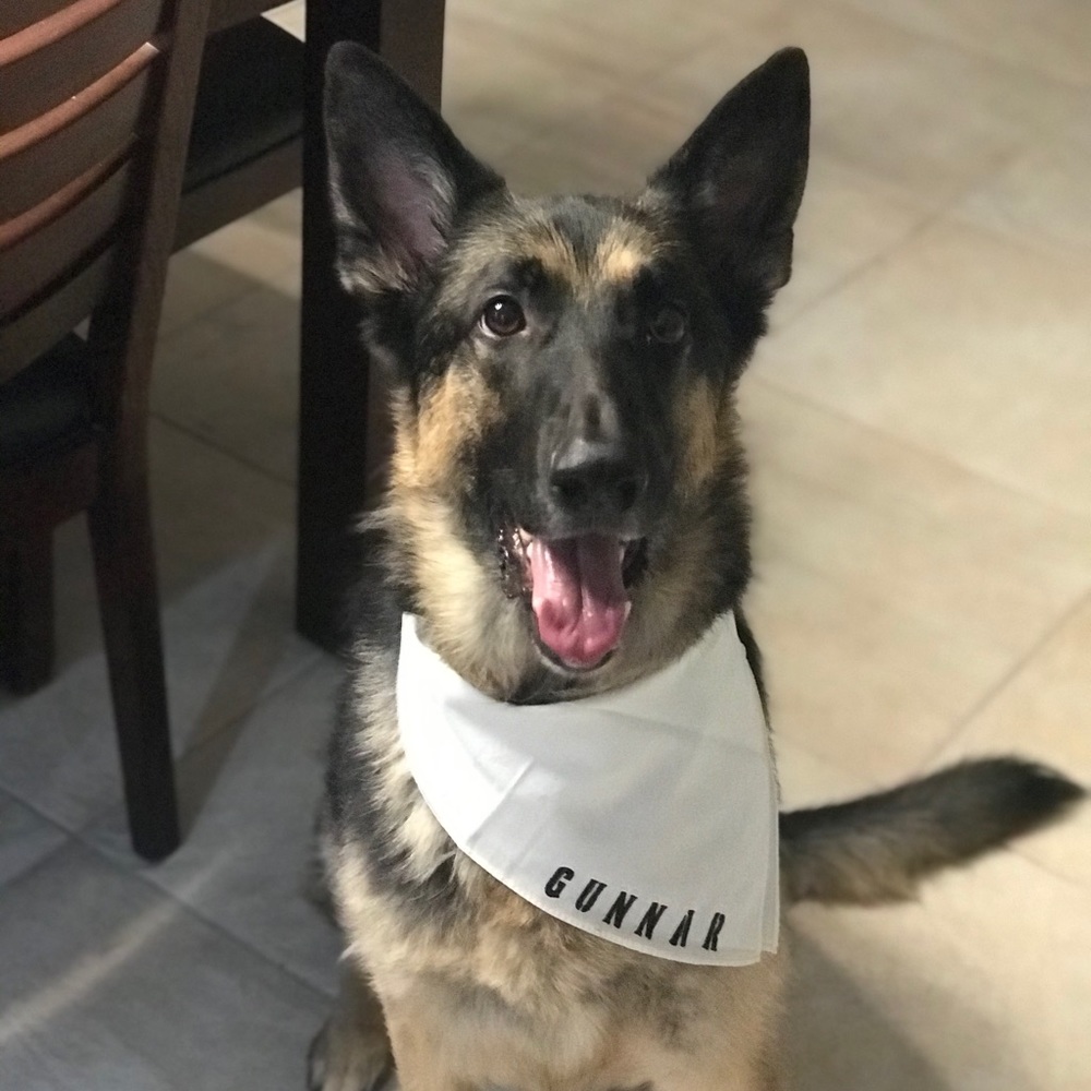 Meet your Posher, Sophia